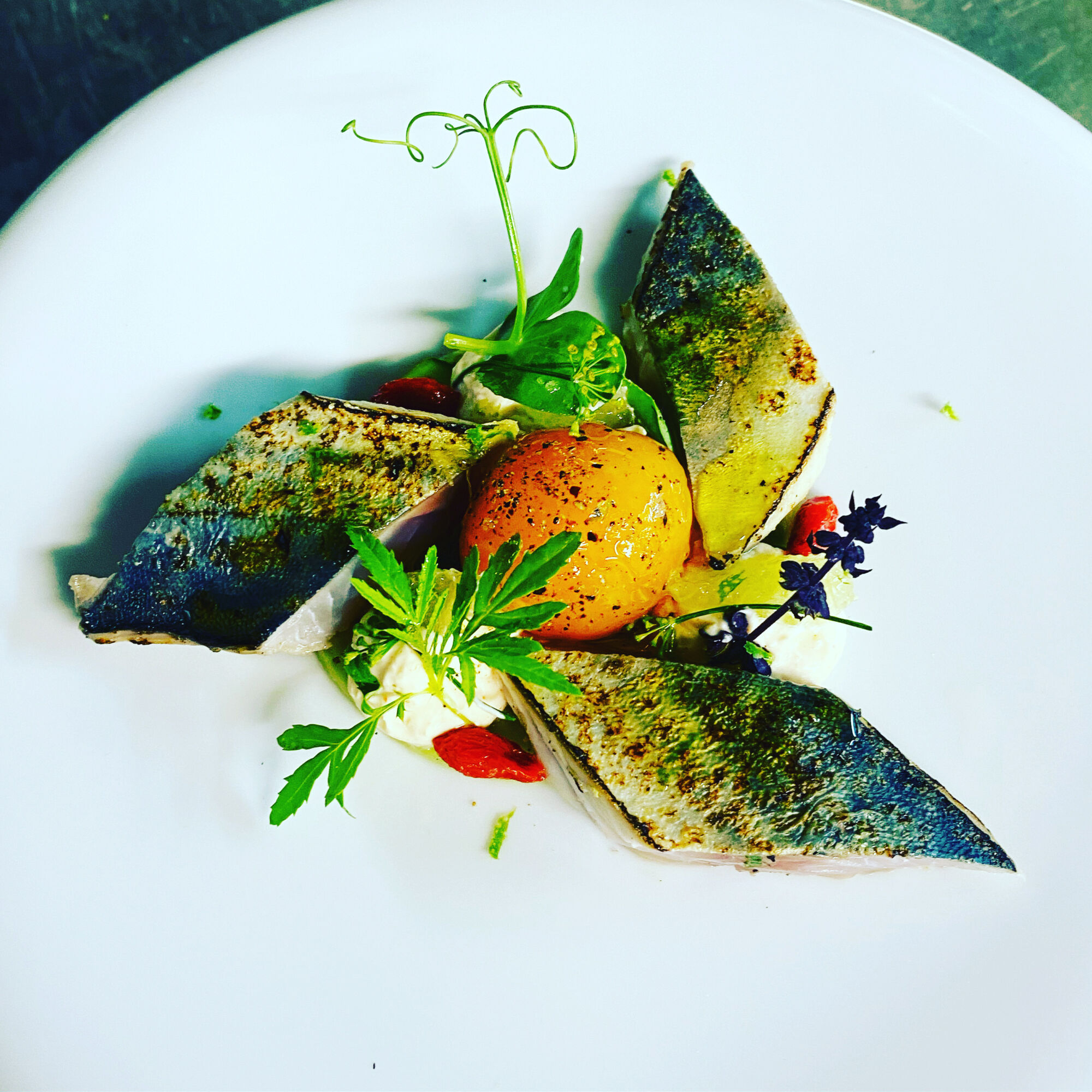 La Table Du Ciel : Carte gastronomique et bistronomique, produits frais et bio à Cordes-sur-Ciel près de Gaillac Albi 3